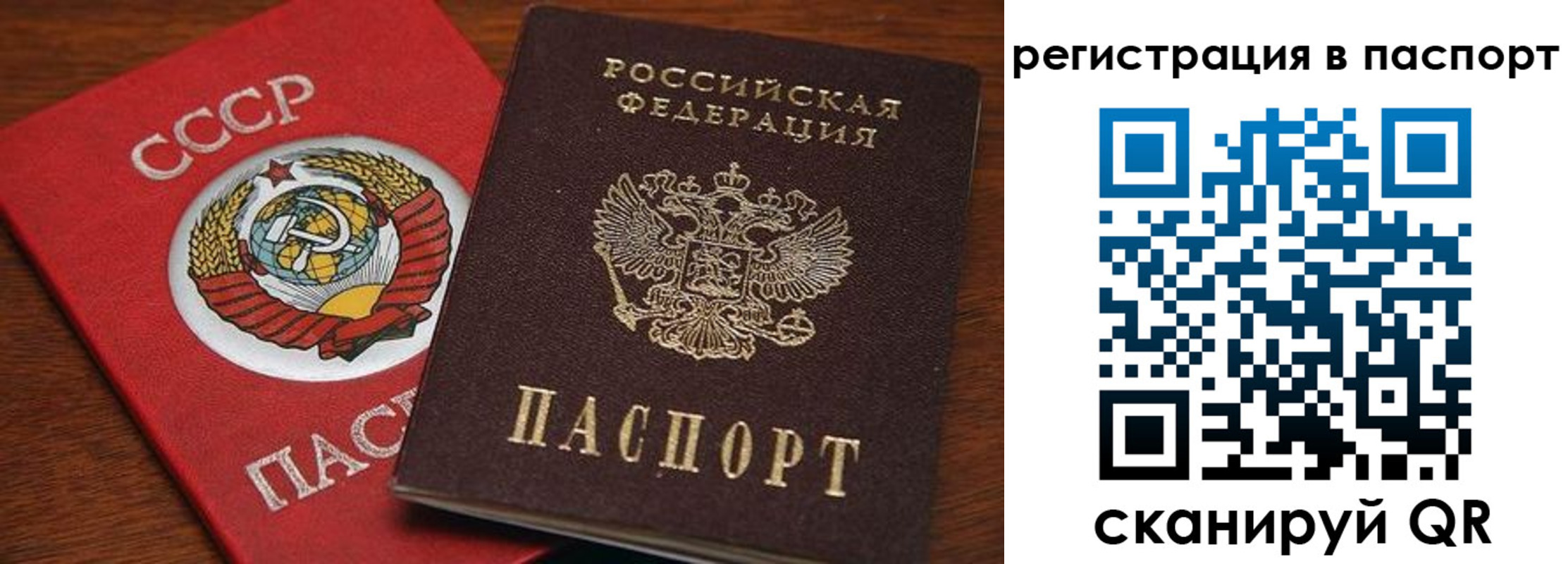 прописка в квартире в Чкаловске